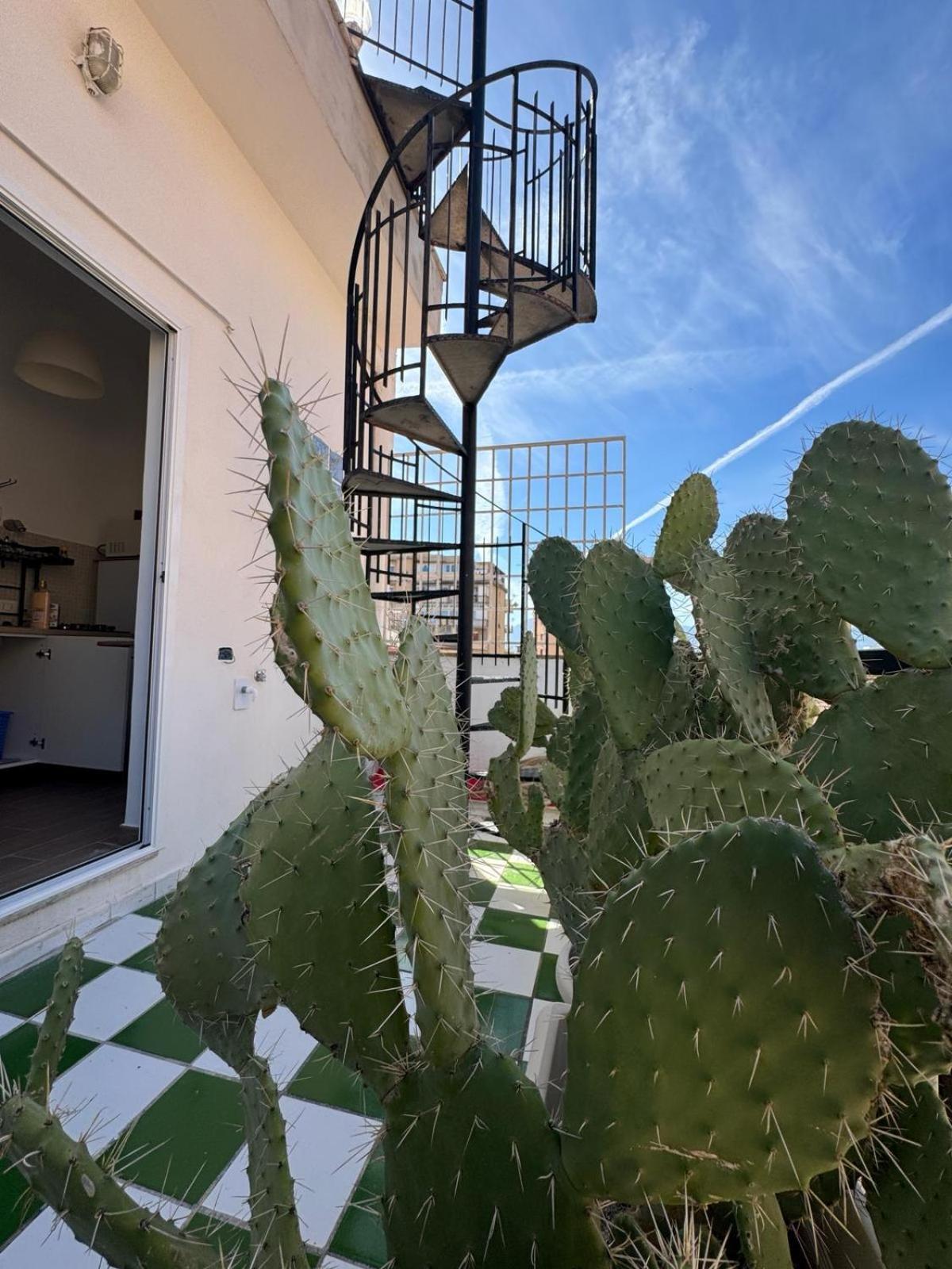 Casa Bianca Vacanze Leilighet Palermo Eksteriør bilde